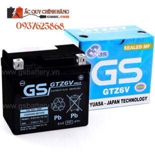 GS GTZ6V